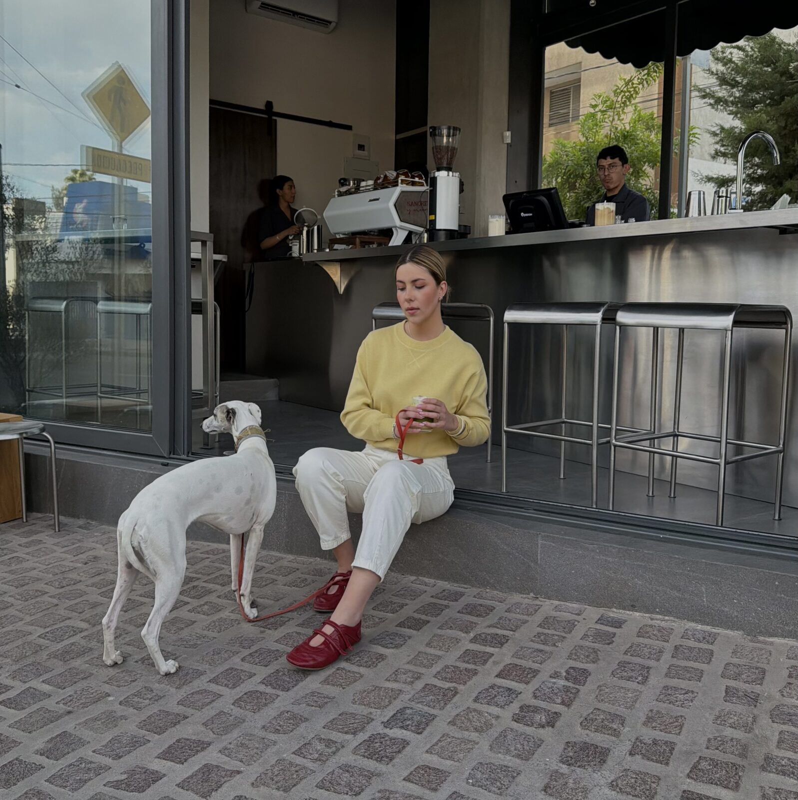 Editorial café moment with a whippet